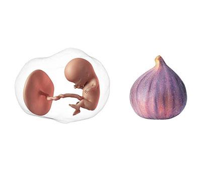 Week 11