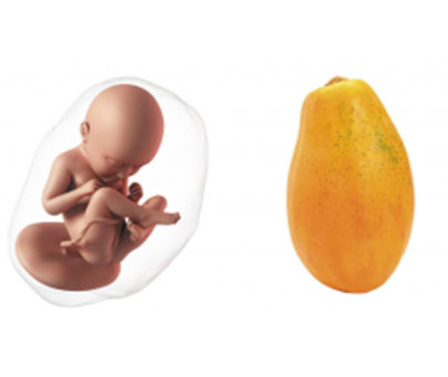 Week 36