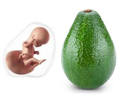 Week 16