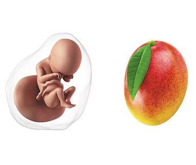 Week 19