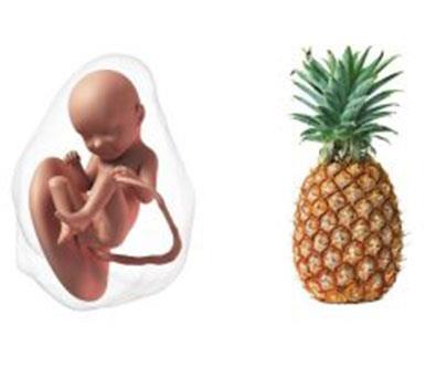 Week 33
