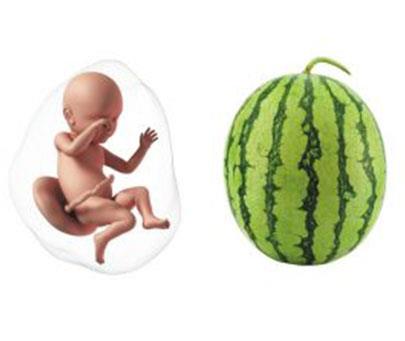 Week 39