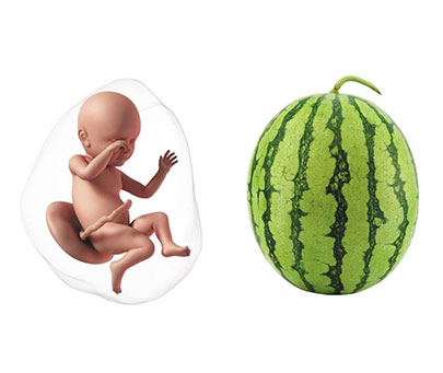 Week 40